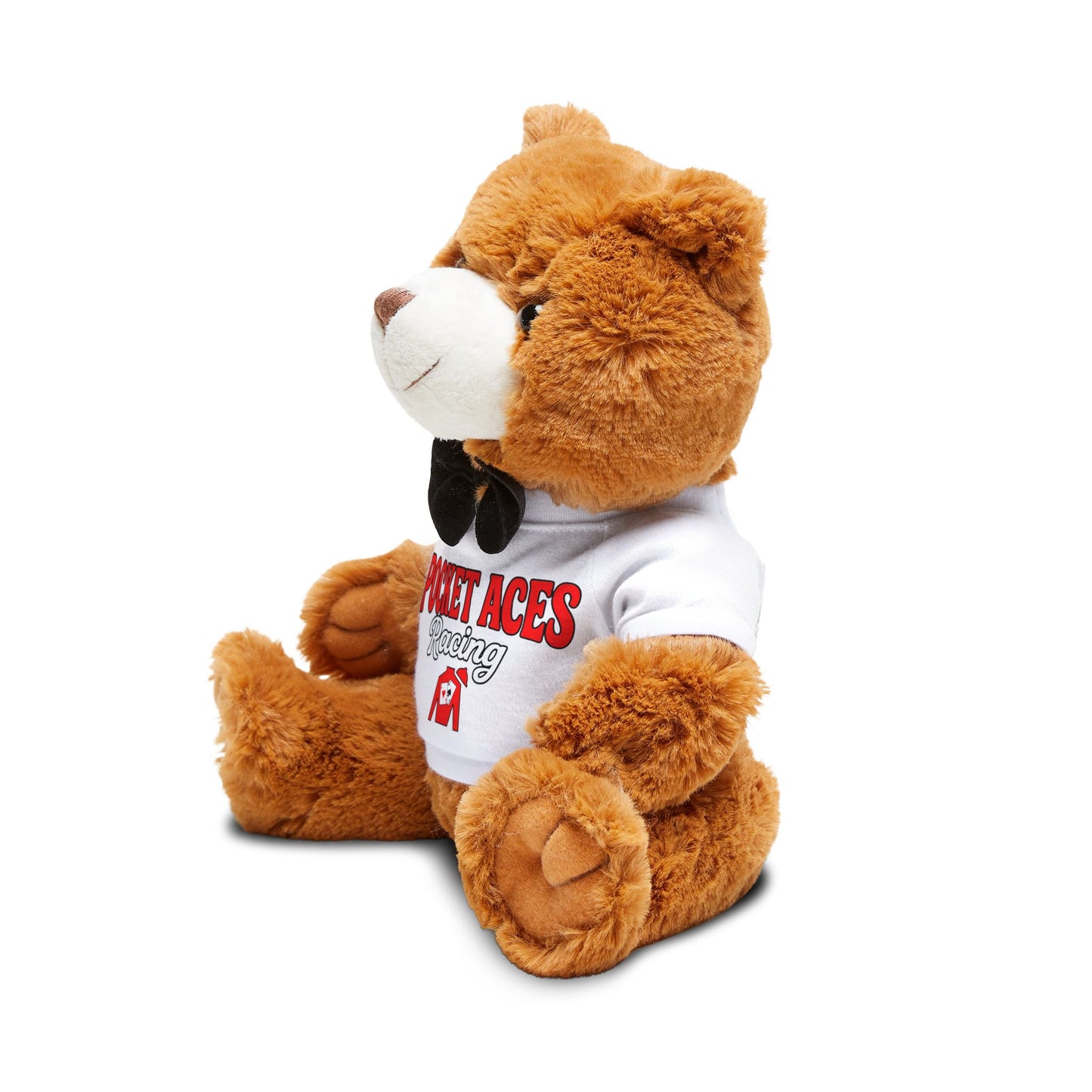 Teddy Bear with Groovy Text & Silks T-Shirt