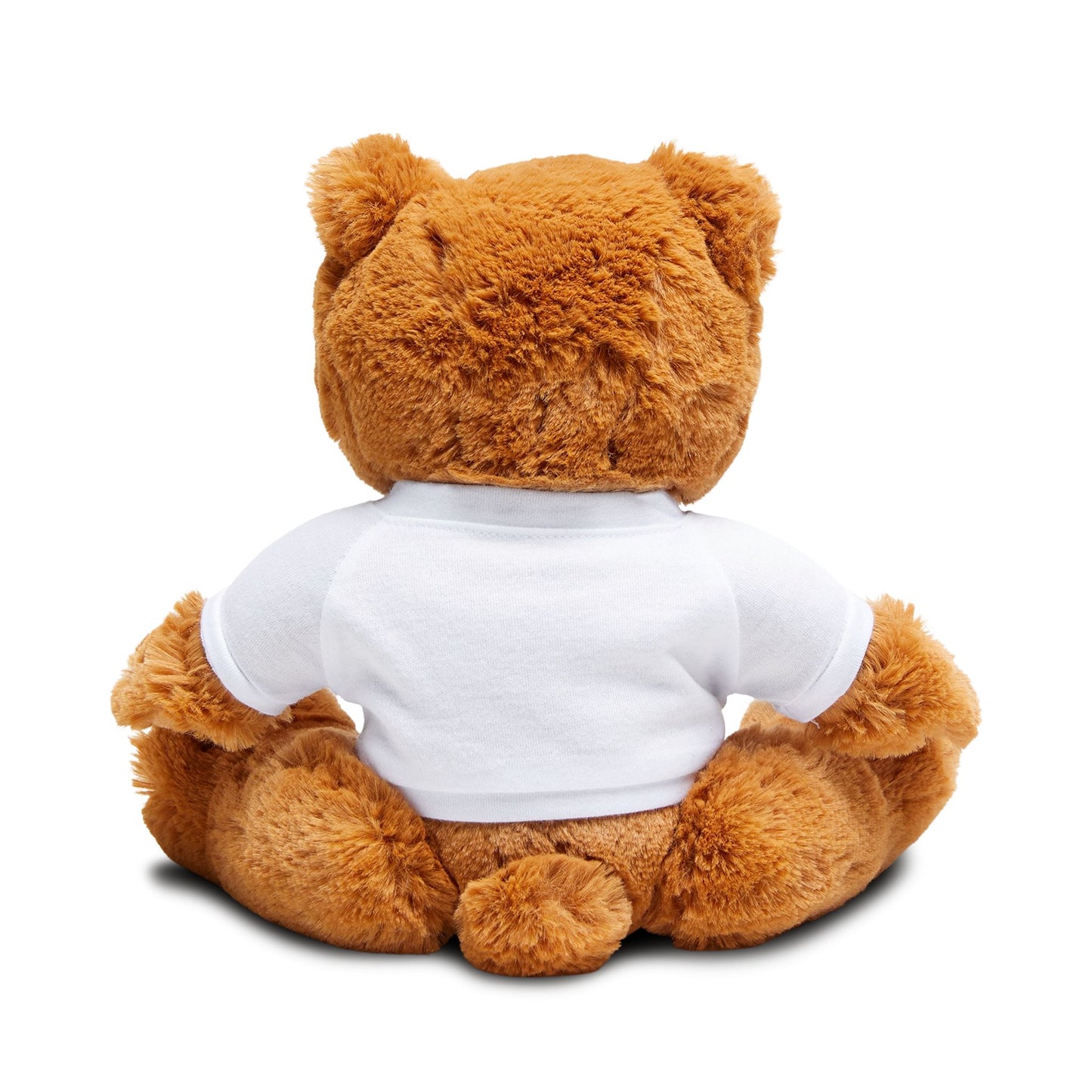 Teddy Bear with Groovy Text & Silks T-Shirt