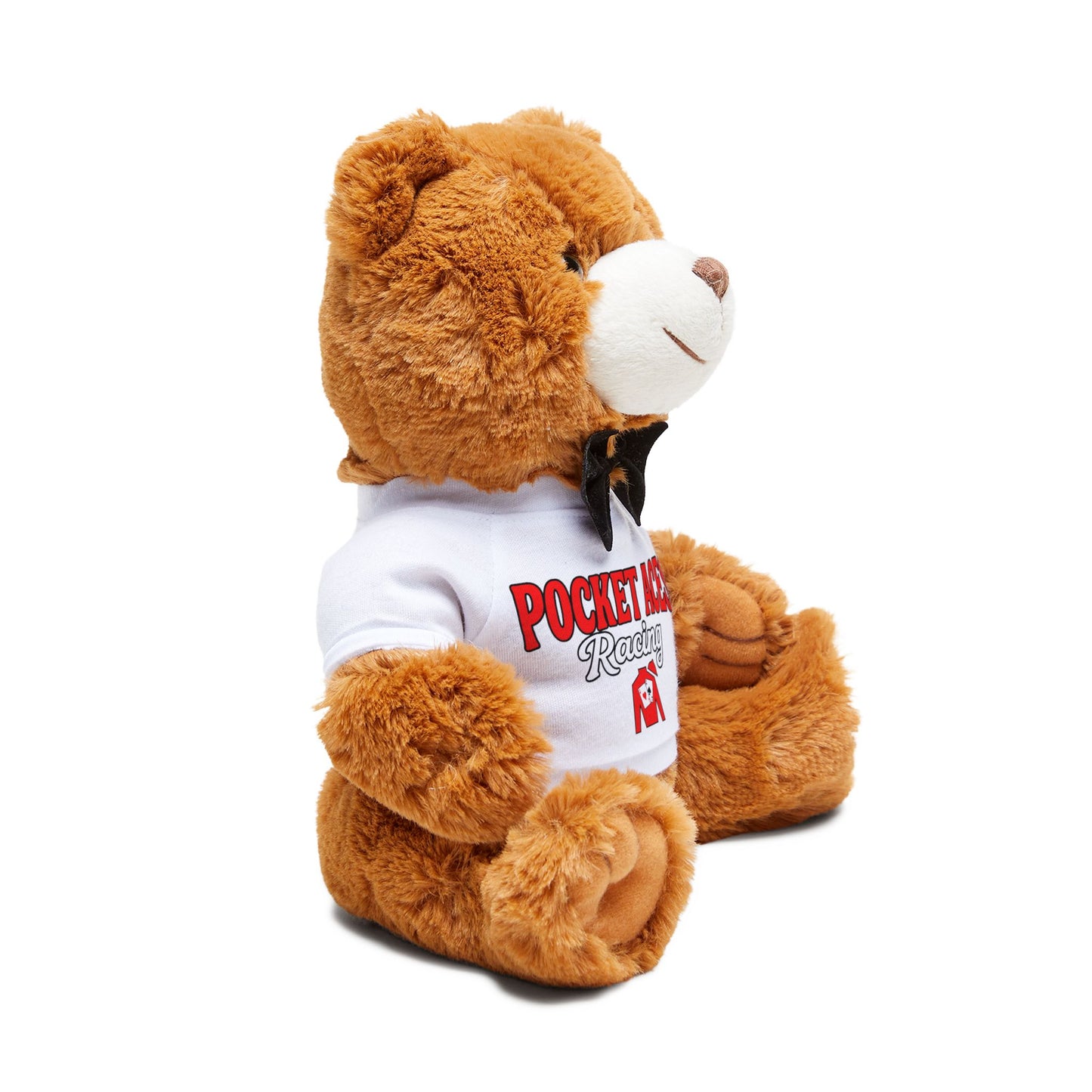 Teddy Bear with Groovy Text & Silks T-Shirt